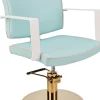 Ayala Dolly Custom Styling Chair