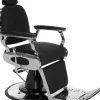 Ayala Lion Barber Chair