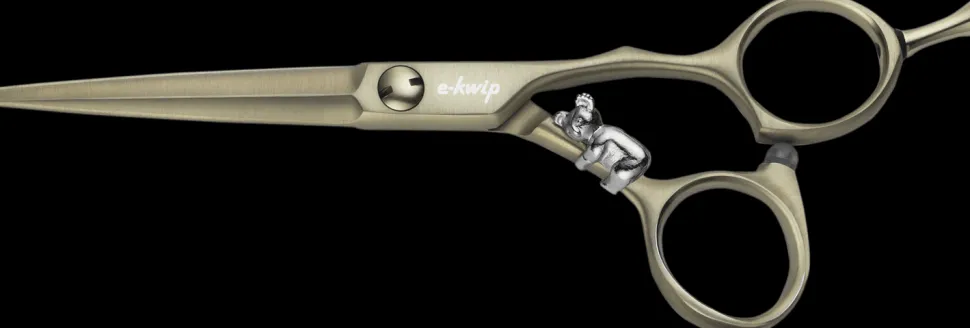 e-kwip Champaign CP 5,0"