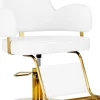 Gabbiano Hairdressing Chair Gabbiano Linz NQ Gold White