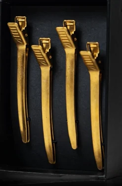 Rovra Set 4 Pcs Hair Clips - Gold