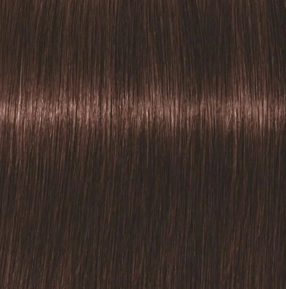 Schwarzkopf Igora Royal 4-68 Medium Brown Chocolate Red - 60 ml
