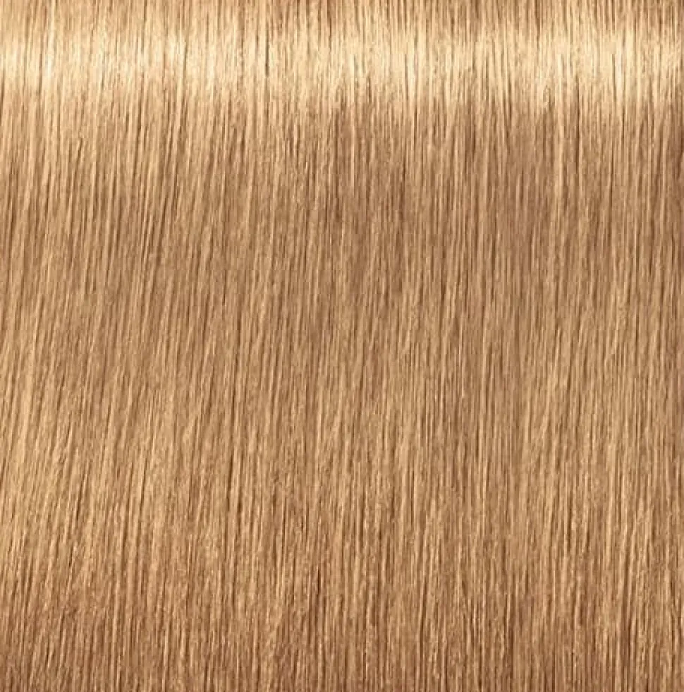 Schwarzkopf Igora Royal Absolutes 9-560 Extra Light Blonde Gold Chocolate - 60 ml