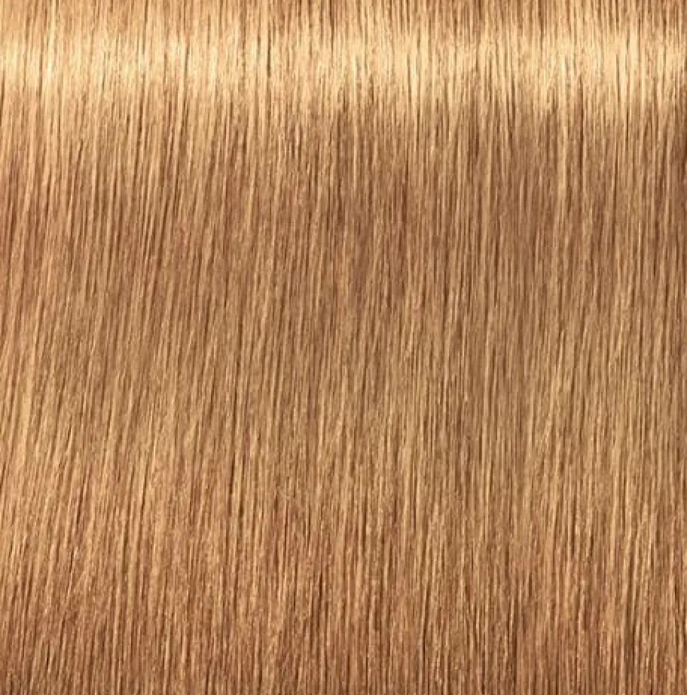 Schwarzkopf Igora Royal Absolutes 9-50 Extra Light Blonde Gold Natural - 60 ml