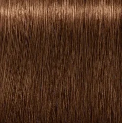 Schwarzkopf Igora Royal Absolutes 6-460 Dark Blonde Beige Chocolate - 60 ml