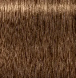 Schwarzkopf Igora Royal Absolutes 7-50 Medium Blonde Gold Natural - 60 ml