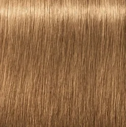 Schwarzkopf Igora Royal Absolutes 8-50 Light Blonde Gold Natural - 60 ml