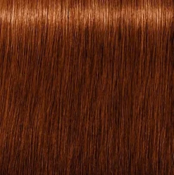 Schwarzkopf Igora Royal Absolutes 6-70 Dark Blonde Copper Natural - 60 ml