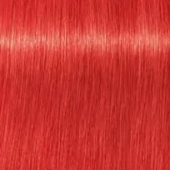 Schwarzkopf Igora Royal Mix 0-88 Red Concentrate - 60 ml