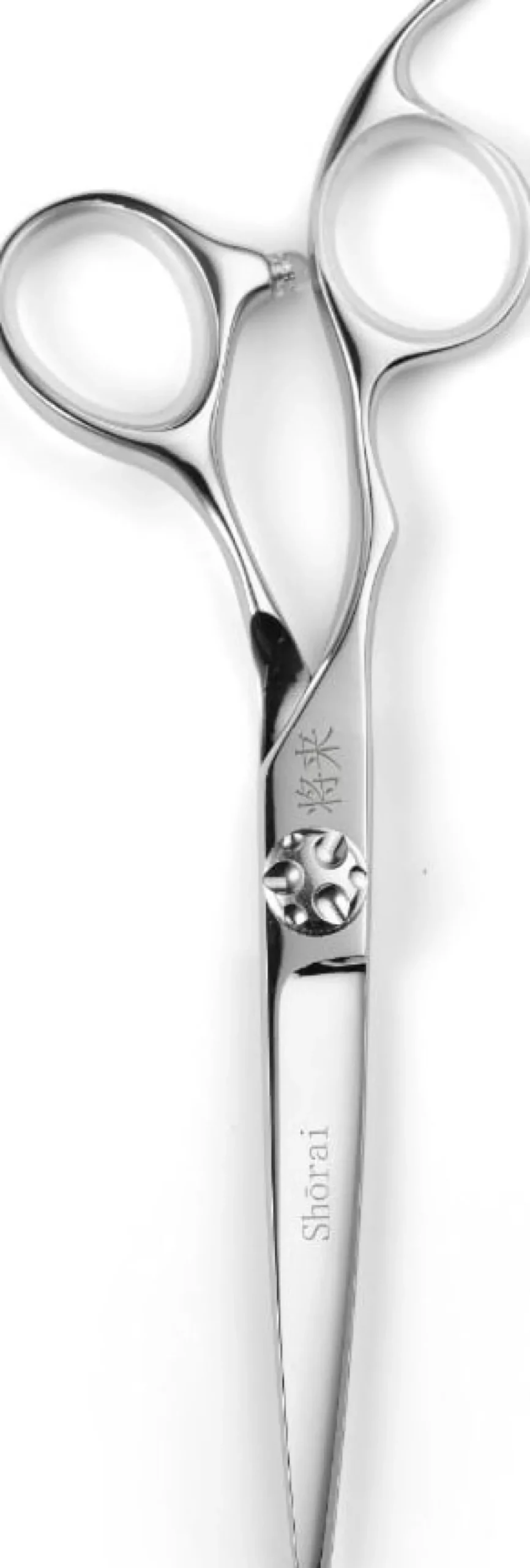 Shōrai SC Left Hand 6"