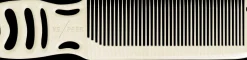 YS Park Mambo Comb No.246 White